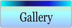 Gallery.