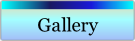 Gallery.